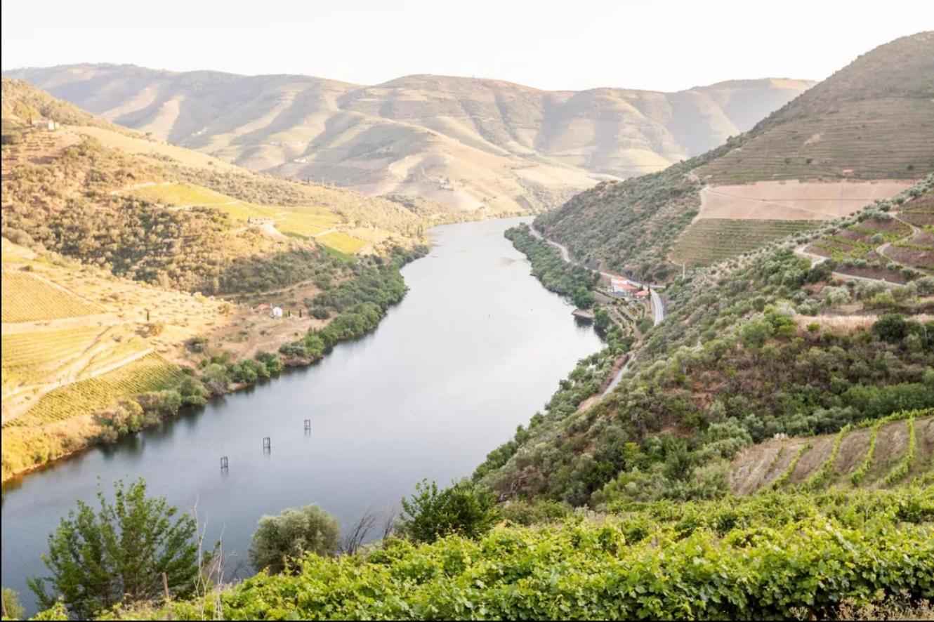 Quinta De Merouco - Casa Do Rio Cotas 外观 照片